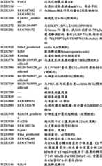 Figure BDA0000057170160001271