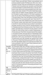 Figure BDA0004033970230006191