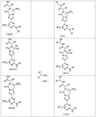 Figure PCTCN2020091695-appb-000038