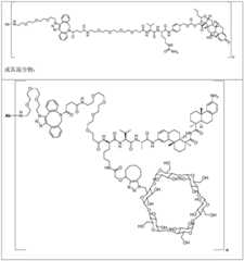 Figure FDA0002889616210000451