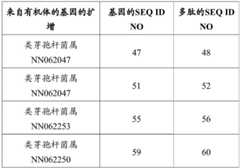 Figure BDA0002978200010002161