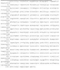 Figure imgf000046_0002