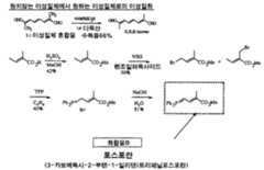 Figure 112007066804814-pct00004