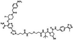 Figure BDA0002964098100002121