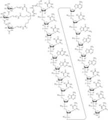 Figure US10683499-20200616-C00114