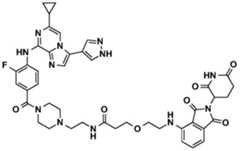 Figure BDA0002964098100001922
