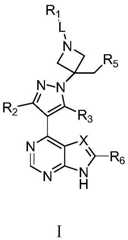 Figure FDA0002953599670000011