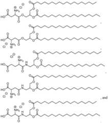 Figure imgf000025_0001