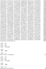 Figure IDA0002536600790000871