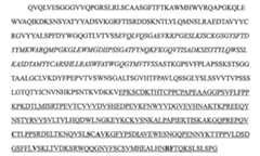 Figure 106123588-A0202-12-0049-8