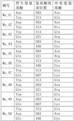 Figure BDA0002777143650000061