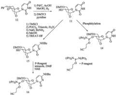 Figure imgf000055_0002
