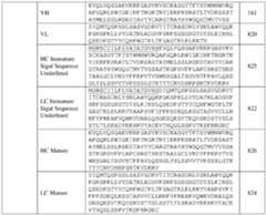 Figure imgf000079_0001