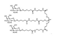 Figure imgf000012_0001