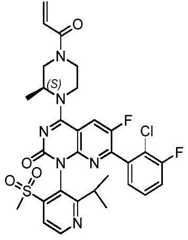 Figure BDA0002861043520000881
