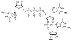 Figure imgf000134_0001