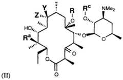 Figure imgf000013_0001