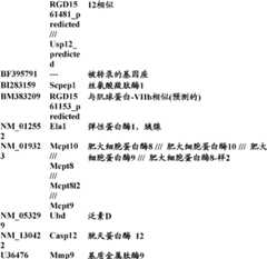 Figure BDA0000057170160002341