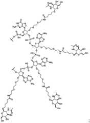 Figure BDA0003702321910001171