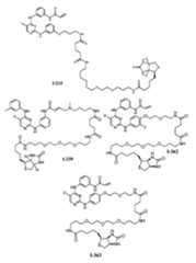 Figure 112016119396583-pat00142