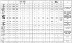 Figure BDA0002492909780000161