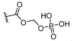 Figure imgf000045_0001