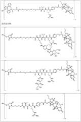 Figure FDA0002889616210000411