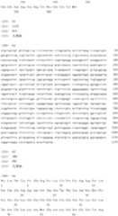 Figure IDA0000079231860000521