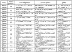 Figure imgf000013_0001