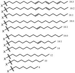 Figure imgf000022_0001
