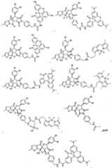 Figure imgf000019_0001