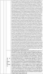 Figure BDA0004033970230007051