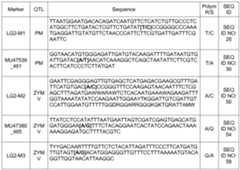 Figure imgf000058_0002