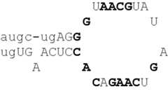 Figure US06759392-20040706-C00012