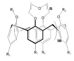 Figure 112006073488404-pat00001