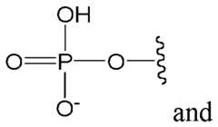 Figure imgf000021_0001