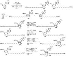 Figure BDA0003746740800001881