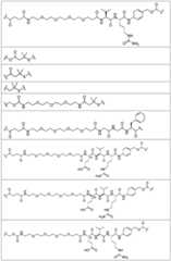 Figure BDA0002889616220000861