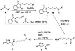 Figure imgf000024_0001