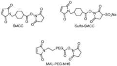 Figure imgf000039_0001