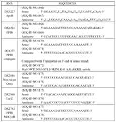 Figure imgf000063_0001