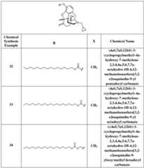 Figure imgf000027_0001