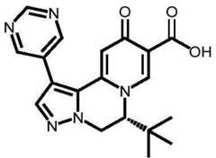 Figure BDA0003141290410002042