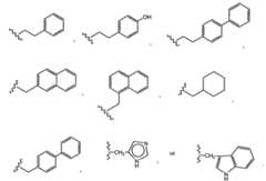 Figure 112010030638814-pct00015