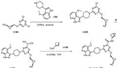 Figure imgf000165_0001