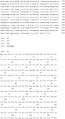 Figure IDA0000079231860000581