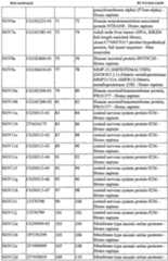 Figure imgf000016_0001