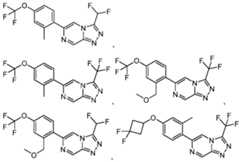 Figure imgf000030_0001