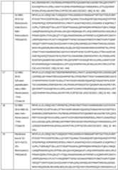 Figure imgf000323_0001