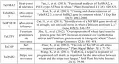 Figure PCTCN2022090268-appb-000101